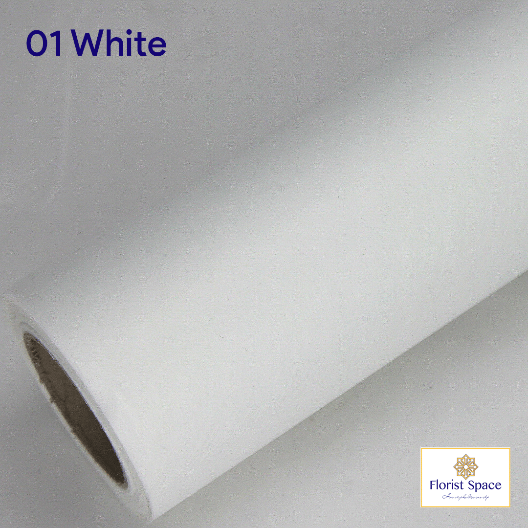 Vân Lông Hàn Quốc - Ảnh 2