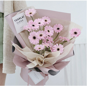 Giấy Bóng Mờ 2 Màu-001-GSO