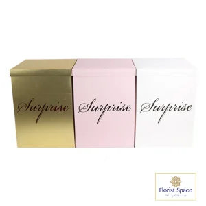 Hộp Surprise MNK-GSO