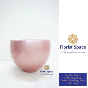 Chậu Gáo Dừa 20