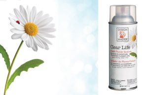 Keo Định Hình - Clear Life 660