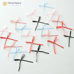 Nơ Mini Thắt Sẵn