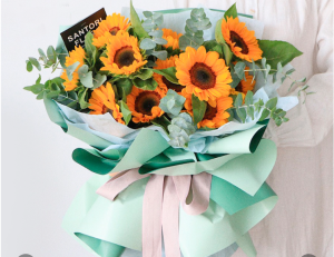 Alternative view of Giấy Bóng Mờ 2 Màu JM-GSO